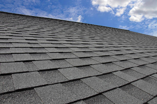 Best Roof Ventilation Installation  in Whitefish Bay, WI