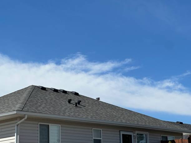 Best Emergency Roof Repair Services  in Whitefish Bay, WI